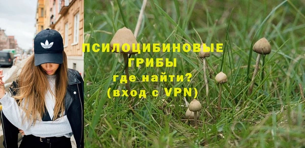 прущий лед Алексин