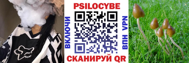 гидра как зайти  дарнет шоп  Староминская  Галлюциногенные грибы Magic Shrooms 